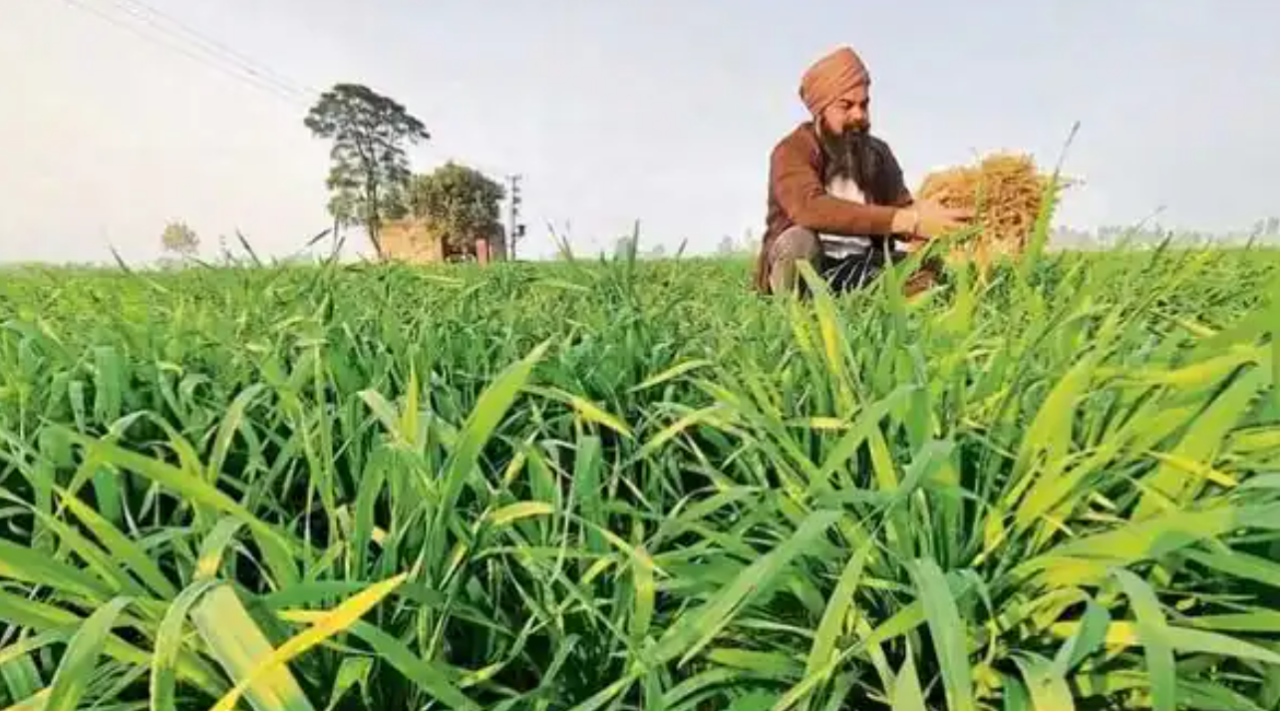 farmer-seed-distribution-1280x711.png